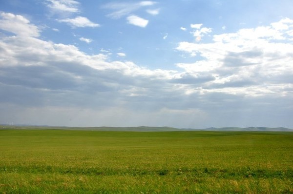 内蒙古乌拉盖治理区人民医院人力资源治理咨询项目周全启动